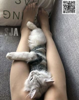 凡人歌40集全免费观看电视剧_4K完整视频观看